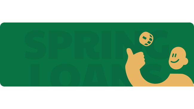 Spring Loans South Africa: How Its Online Personal Loans Work